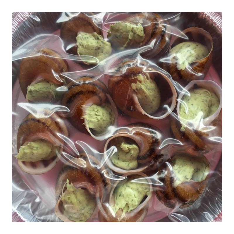 Assiette de 12 escargots gris en coquille à la bourguignonne